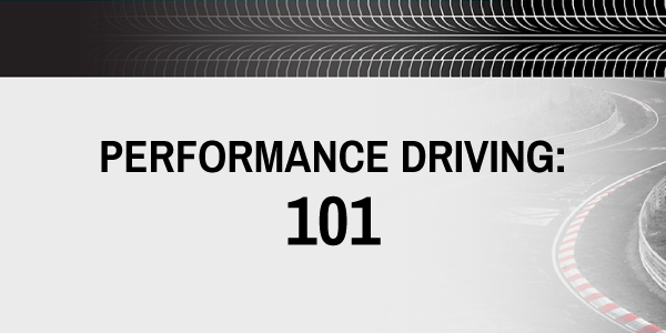 101 FREE PREVIEW! 101 FREE PREVIEW!